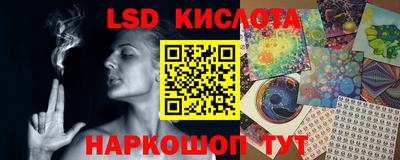 mdpv Кимры
