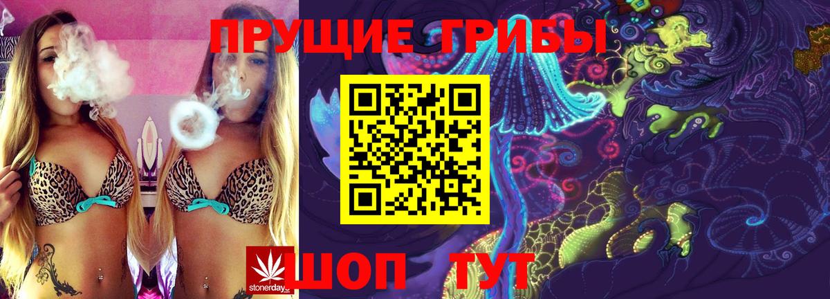 Галлюциногенные грибы Cubensis Новочебоксарск